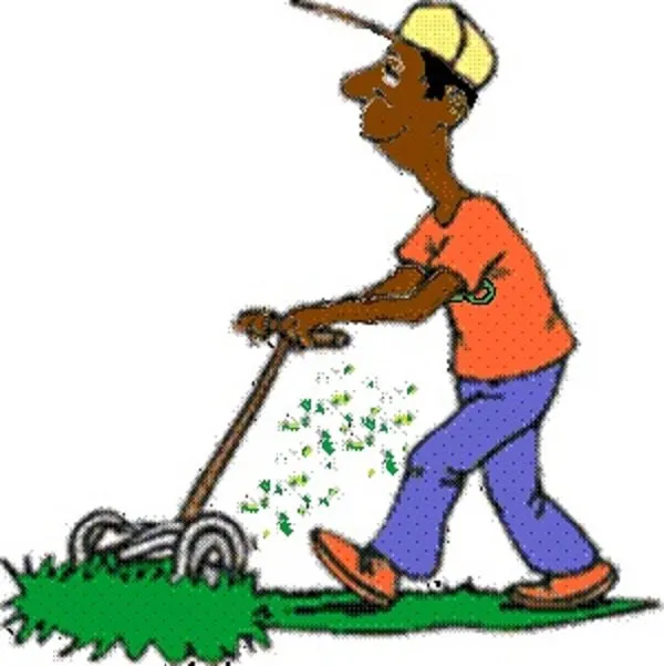 Reliable yard cleanup service in Minneapolis, MN by Cut-N-Go