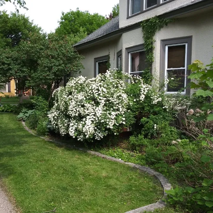 Top-rated landscaping services in Minneapolis, MN - Cut-N-Go