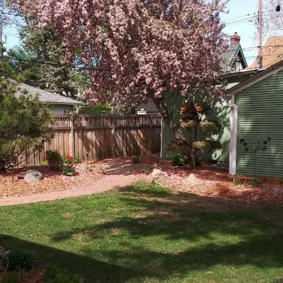 Professional outdoor landscaping with custom design across Minneapolis, MN - Cut-N-Go