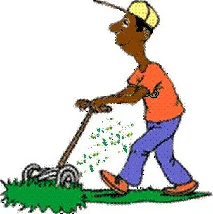 Affordable yard cleanup service experts serving Minneapolis, MN - Cut-N-Go