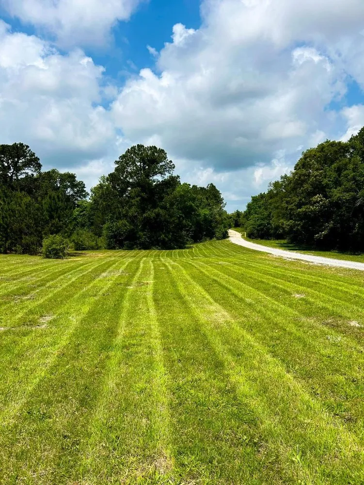 Affordable landscaping services experts serving Waveland, MS - Cut N Go