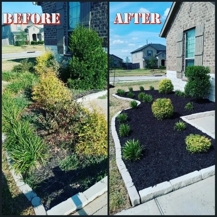 Professional landscape design in Rosenberg, TX - Cut N Grow Lawn Care