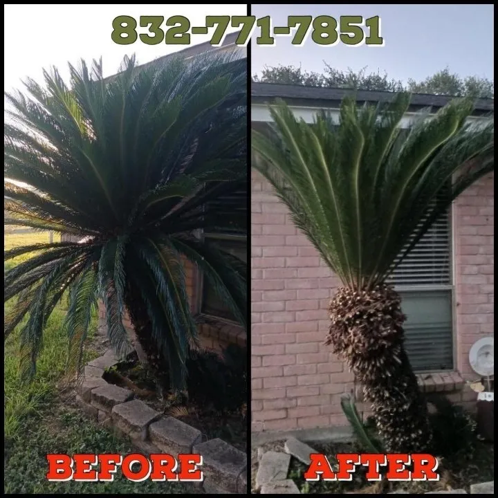 Top-rated lawn mowing service for outdoor upgrades across Rosenberg, TX - Cut N Grow Lawn Care