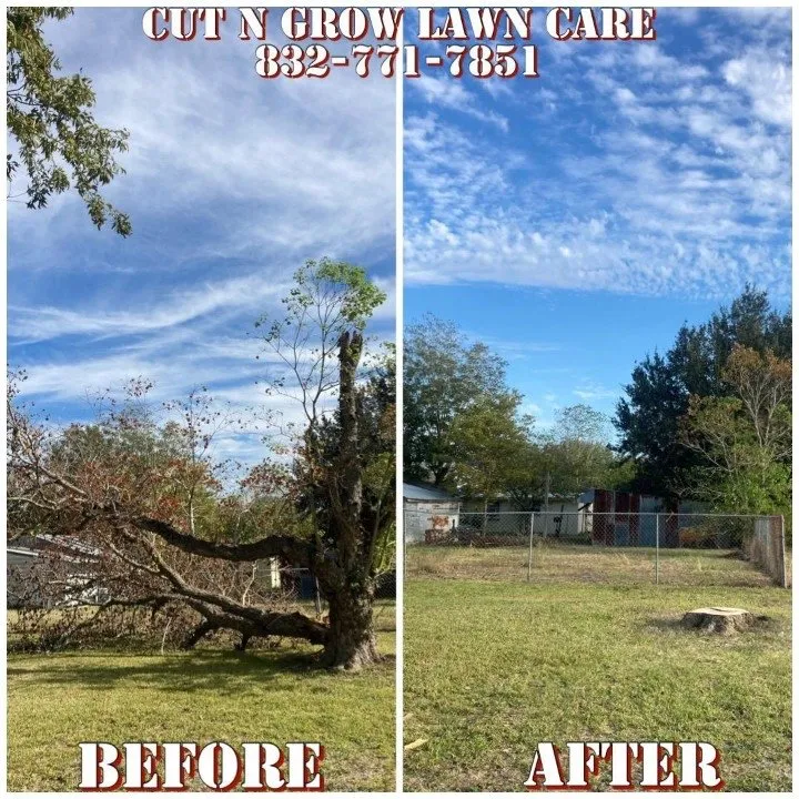 Professional lawn care service in Rosenberg, TX by Cut N Grow Lawn Care