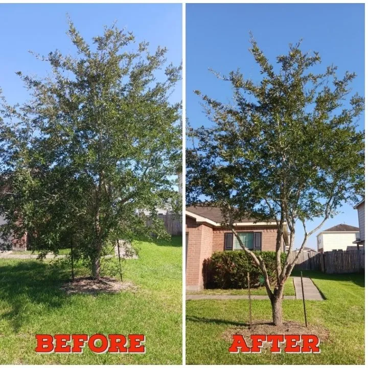 Affordable yard cleanup service in Rosenberg, TX - Cut N Grow Lawn Care