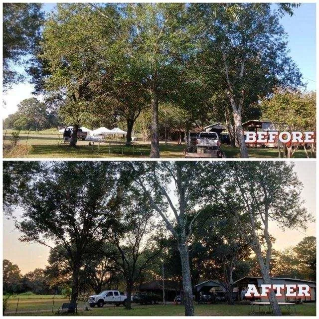 Top-rated yard cleanup service in Rosenberg, TX by Cut N Grow Lawn Care