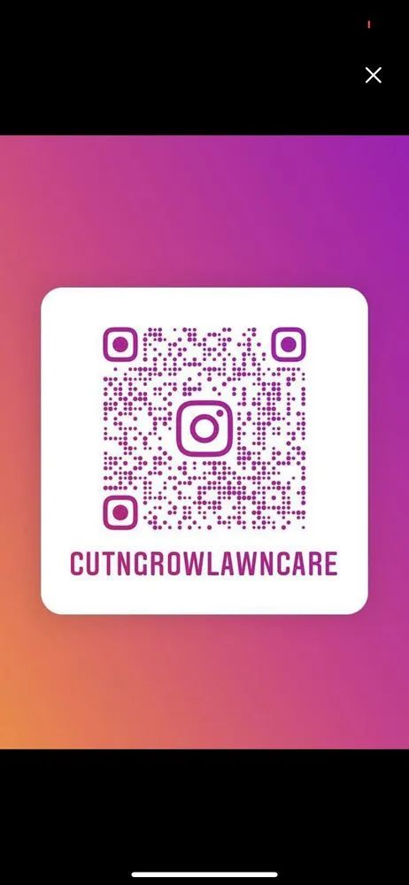 Expert yard cleanup service experts serving Rosenberg, TX - Cut N Grow Lawn Care