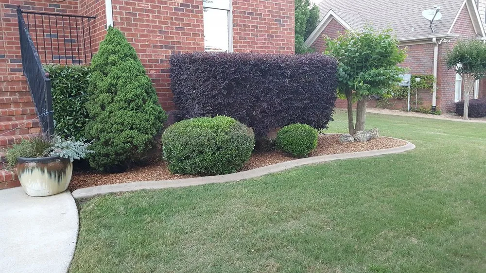 Professional yard cleanup service for year-round maintenance in Alabaster, AL by Cut-N-Up Lawn Care And Landscape
