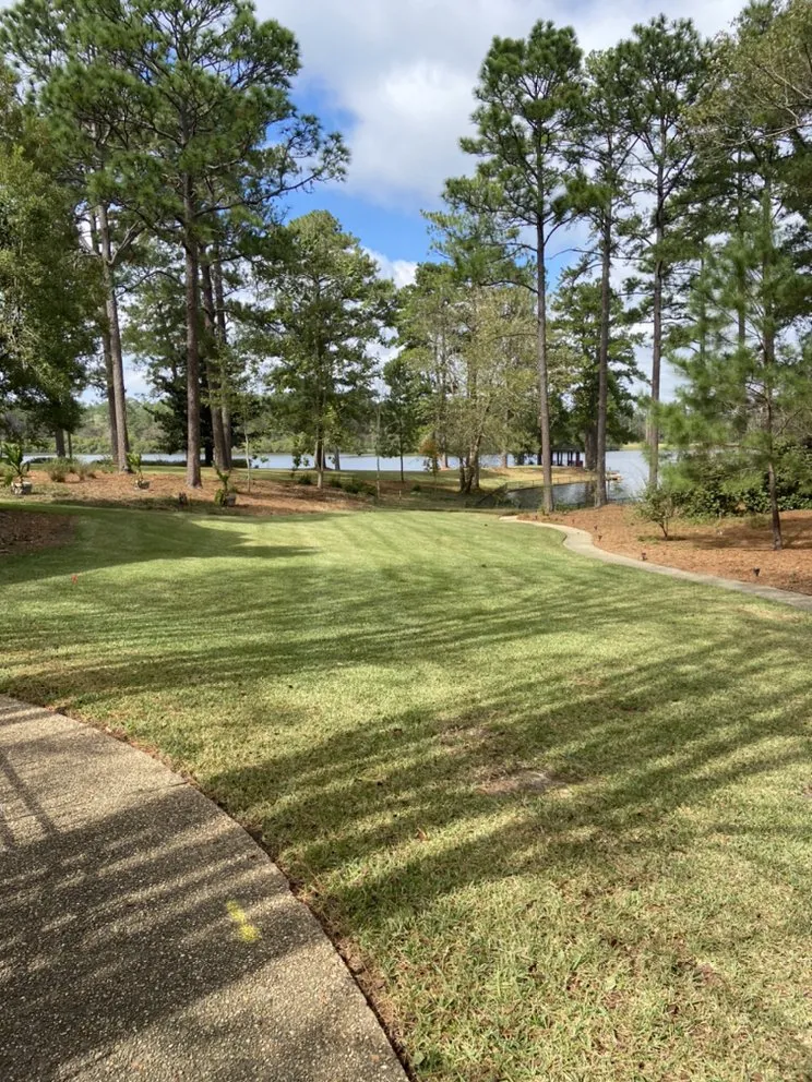 Professional residential landscaping experts serving Petal, MS - Cut-N-Up Lawn Management