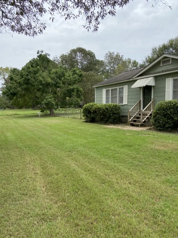 Top-rated yard cleanup service in Petal, MS - Cut-N-Up Lawn Management