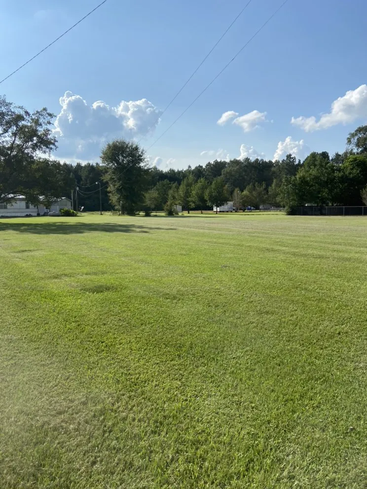 Trusted landscape installation for homes across Petal, MS - Cut-N-Up Lawn Management