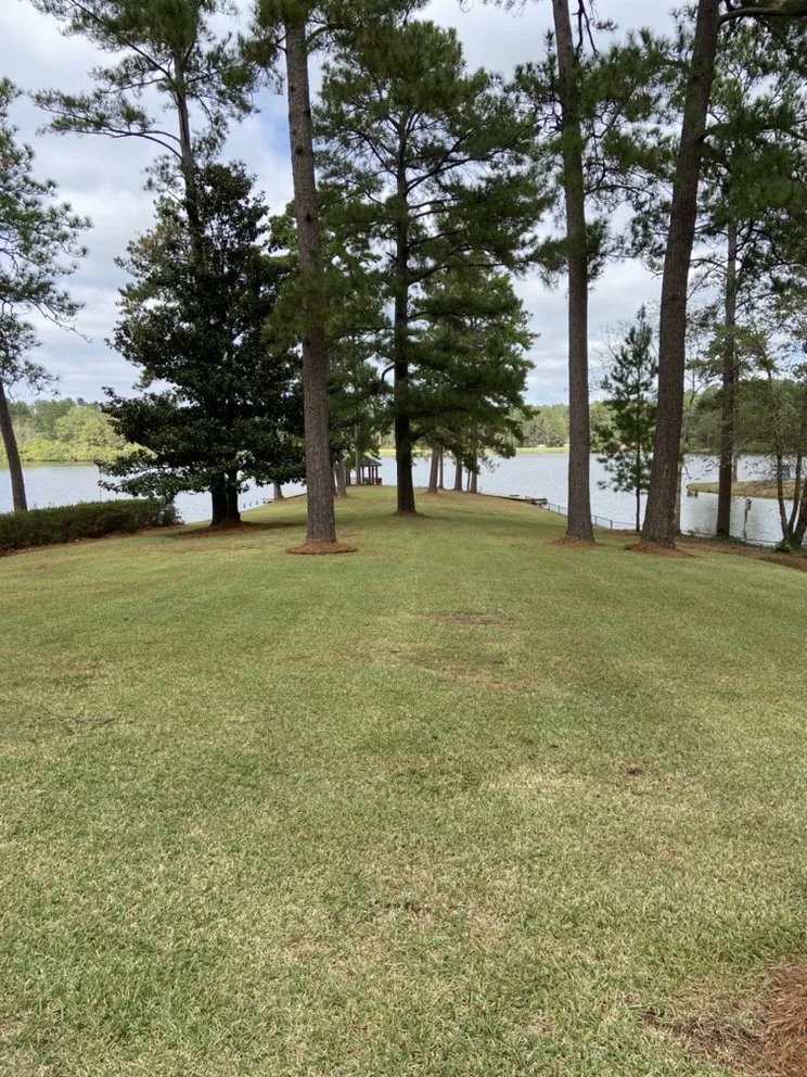Expert landscape design for residential properties across Petal, MS - Cut-N-Up Lawn Management