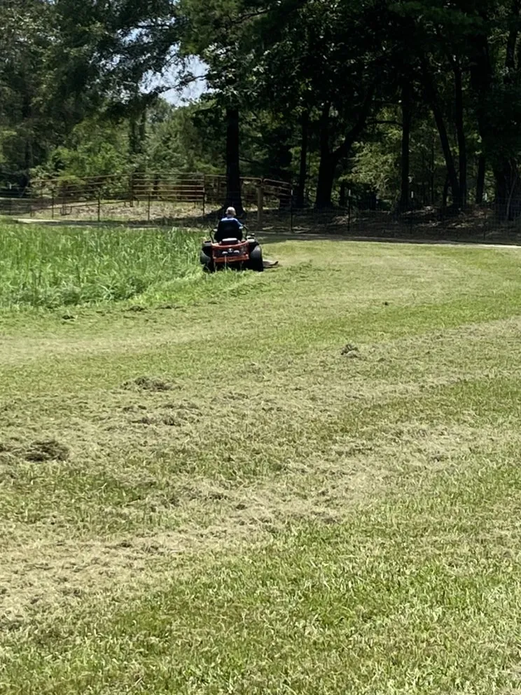 Trusted residential landscaping experts serving Petal, MS - Cut-N-Up Lawn Management