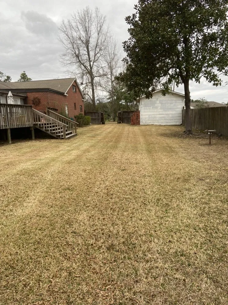 Top-rated outdoor landscaping experts serving Petal, MS - Cut-N-Up Lawn Management