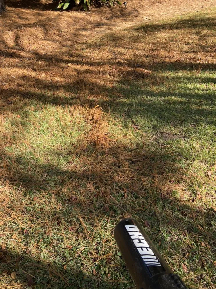 Expert residential landscaping in Petal, MS - Cut-N-Up Lawn Management