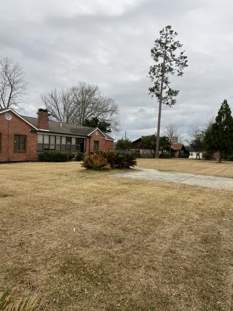 Reliable landscape installation experts serving Petal, MS - Cut-N-Up Lawn Management