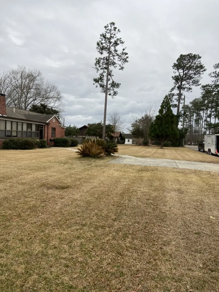 Affordable yard cleanup service for year-round maintenance across Petal, MS - Cut-N-Up Lawn Management