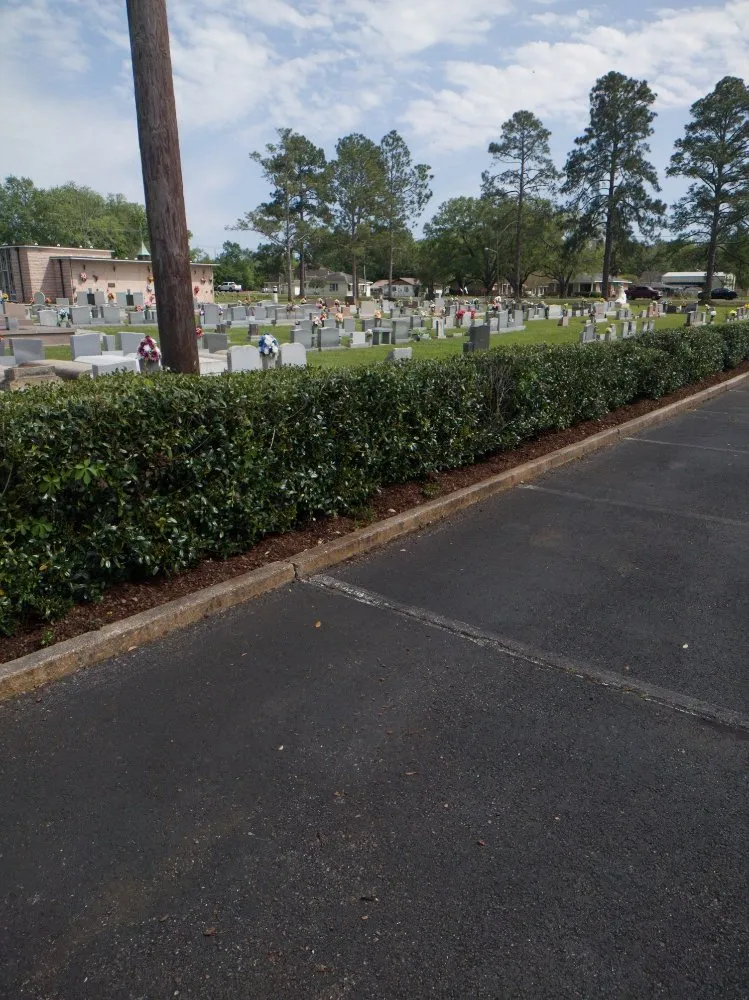 Affordable landscaping services experts serving Denham Springs, LA - Cut Plus Lawn & Landscape