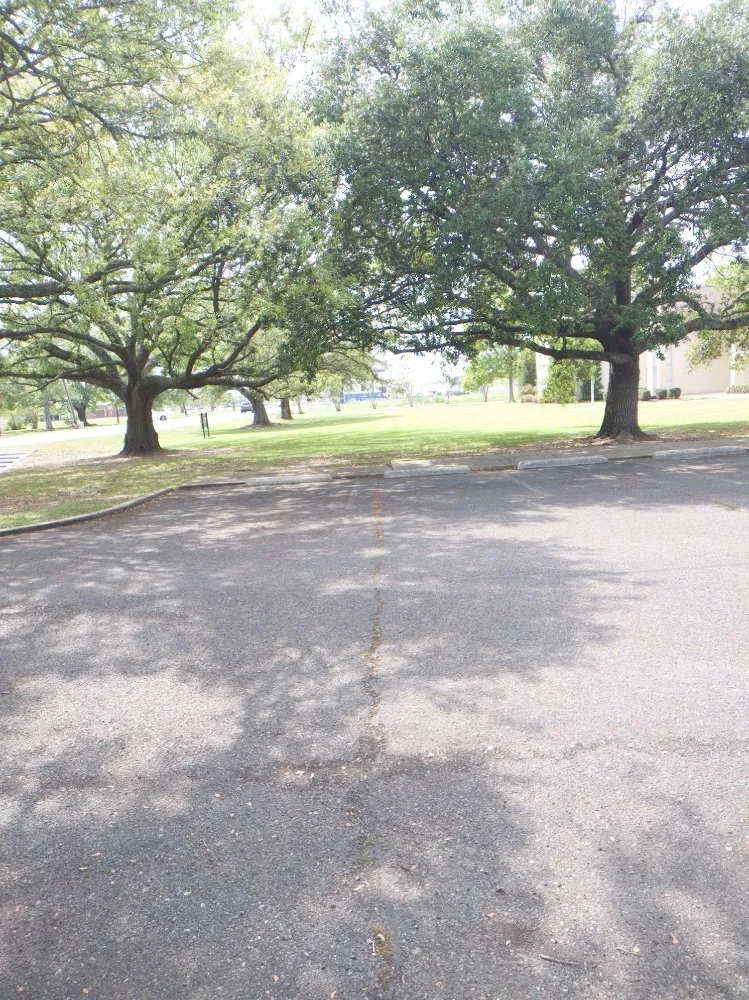 Professional yard cleanup service for outdoor upgrades across Denham Springs, LA - Cut Plus Lawn & Landscape