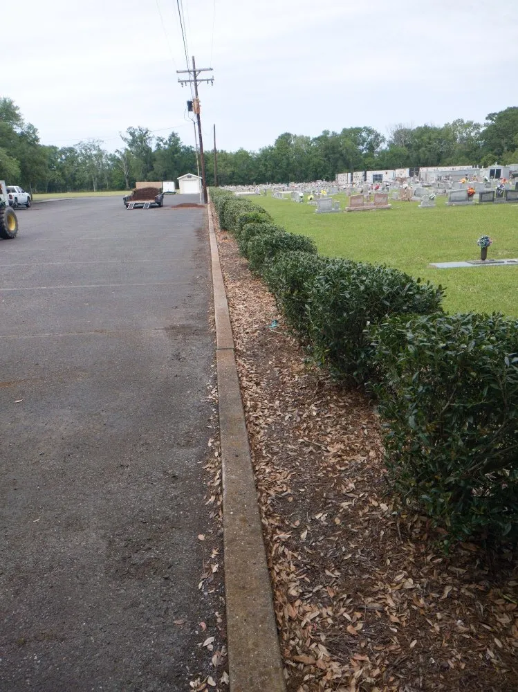 Professional lawn care service in Denham Springs, LA - Cut Plus Lawn & Landscape