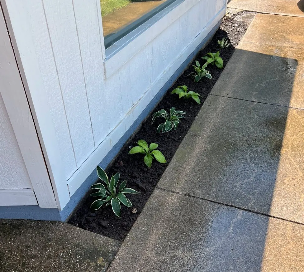 Affordable yard maintenance in Fort Worth, TX - Cut Pro Lawn Care