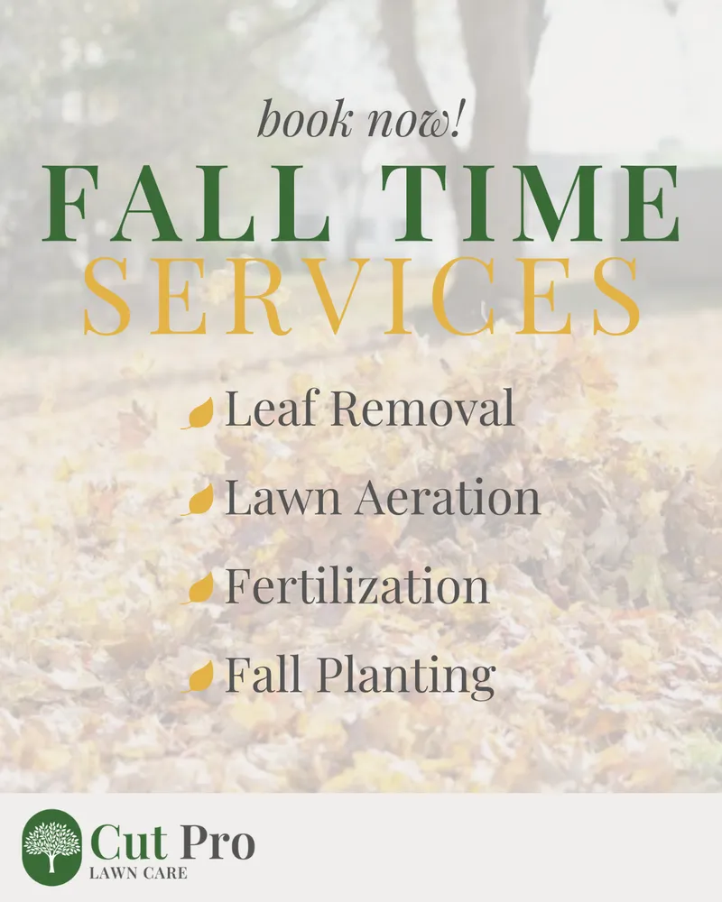 Professional outdoor landscaping for year-round maintenance in Fort Worth, TX by Cut Pro Lawn Care