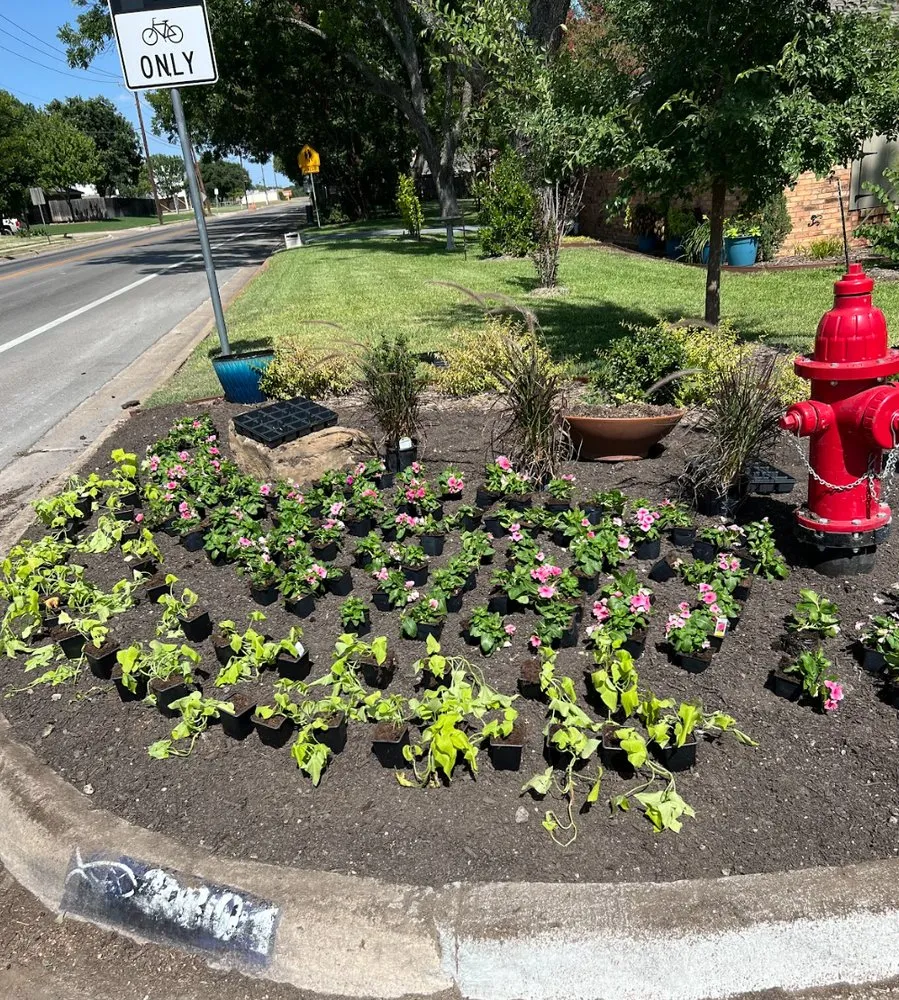 Expert outdoor landscaping for beautiful yards in Fort Worth, TX by Cut Pro Lawn Care