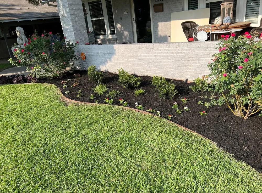 Local yard cleanup service experts serving Fort Worth, TX - Cut Pro Lawn Care