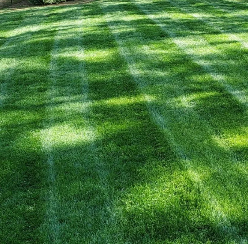 Affordable landscape design for year-round maintenance across Coventry, RI - Cut-Pro Lawncare & Construction