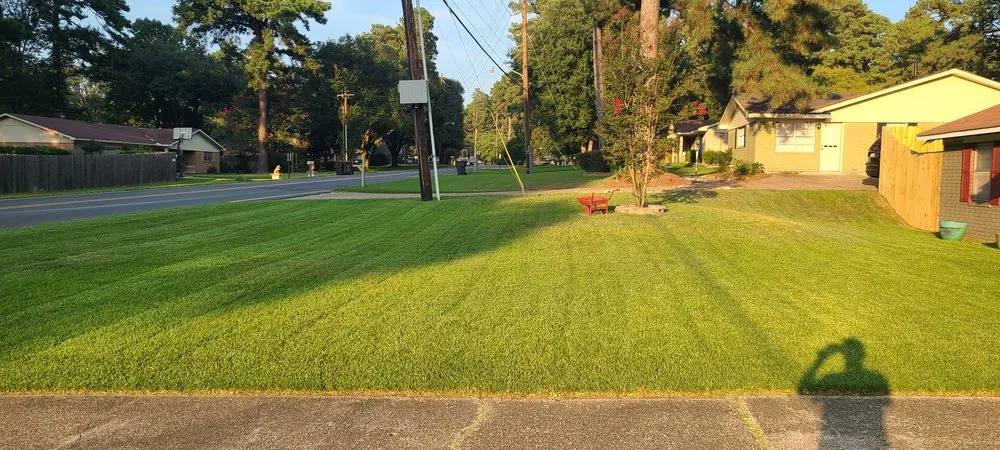 Trusted yard cleanup service experts serving Benton, LA - Cut Pro's Lawn Services