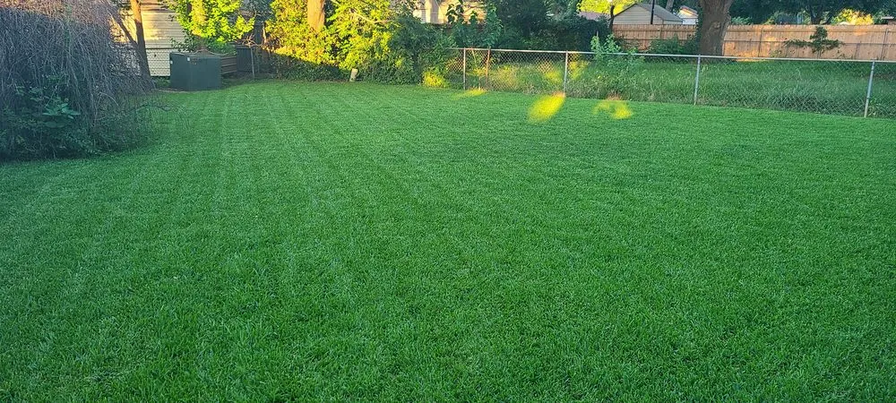 Professional yard cleanup service for outdoor upgrades across Benton, LA - Cut Pro's Lawn Services