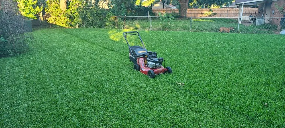 Custom landscape design near you in Benton, LA by Cut Pro's Lawn Services