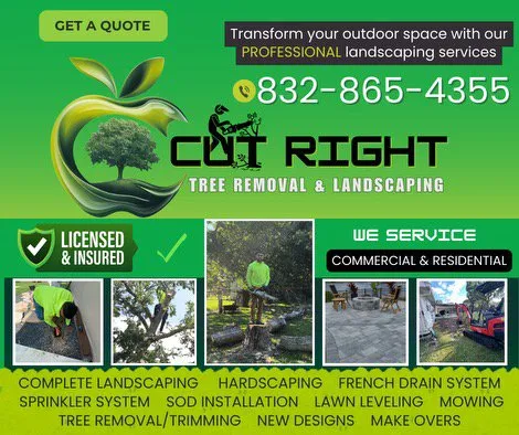 Custom residential landscaping for outdoor upgrades in Dickinson, TX by Cut Right Landscaping