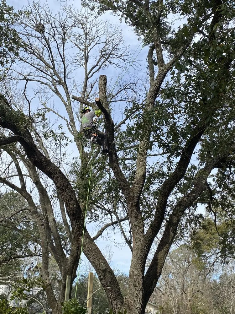 Affordable lawn care service in Dickinson, TX - Cut Right Landscaping