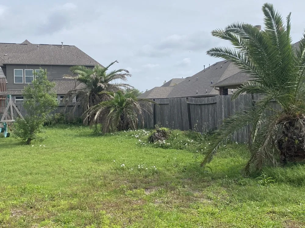 Reliable yard maintenance for beautiful yards across Dickinson, TX - Cut Right Landscaping