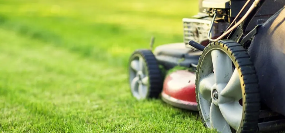 Trusted outdoor landscaping for beautiful yards across Louisville, KY - Cut Right Lawn Care