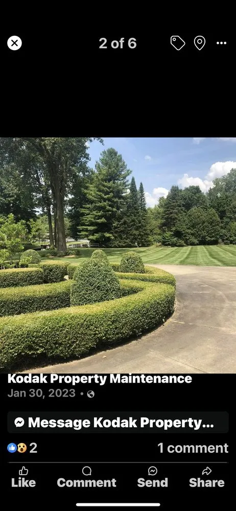 Reliable yard maintenance for homes in White Pigeon, MI by Cut Right