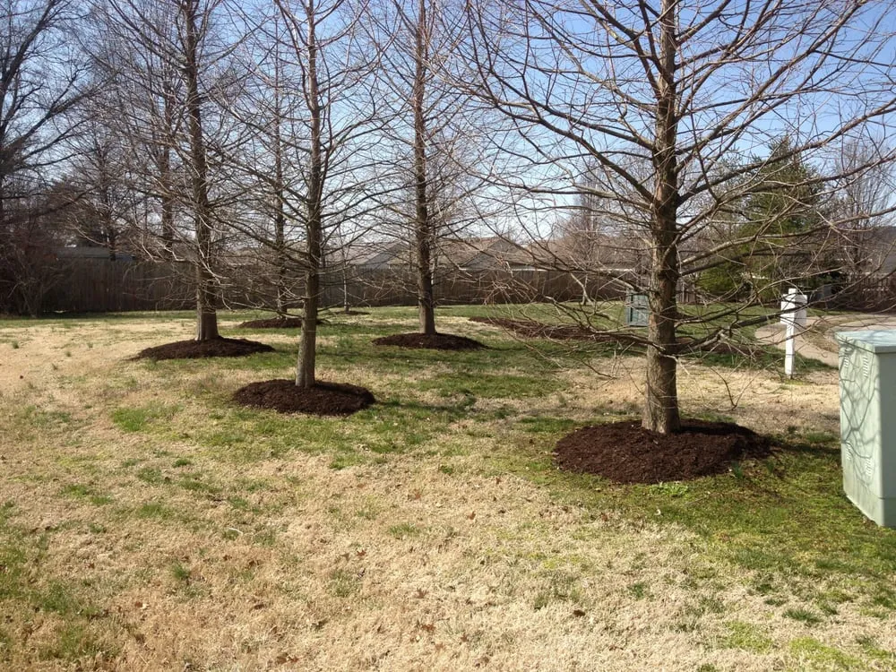 Reliable landscaping services for beautiful yards in Evansville, IN by Cut-Right Yard Service