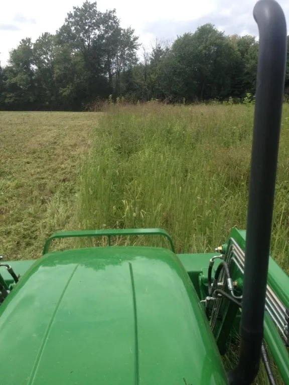 Expert outdoor landscaping in Evansville, IN - Cut-Right Yard Service