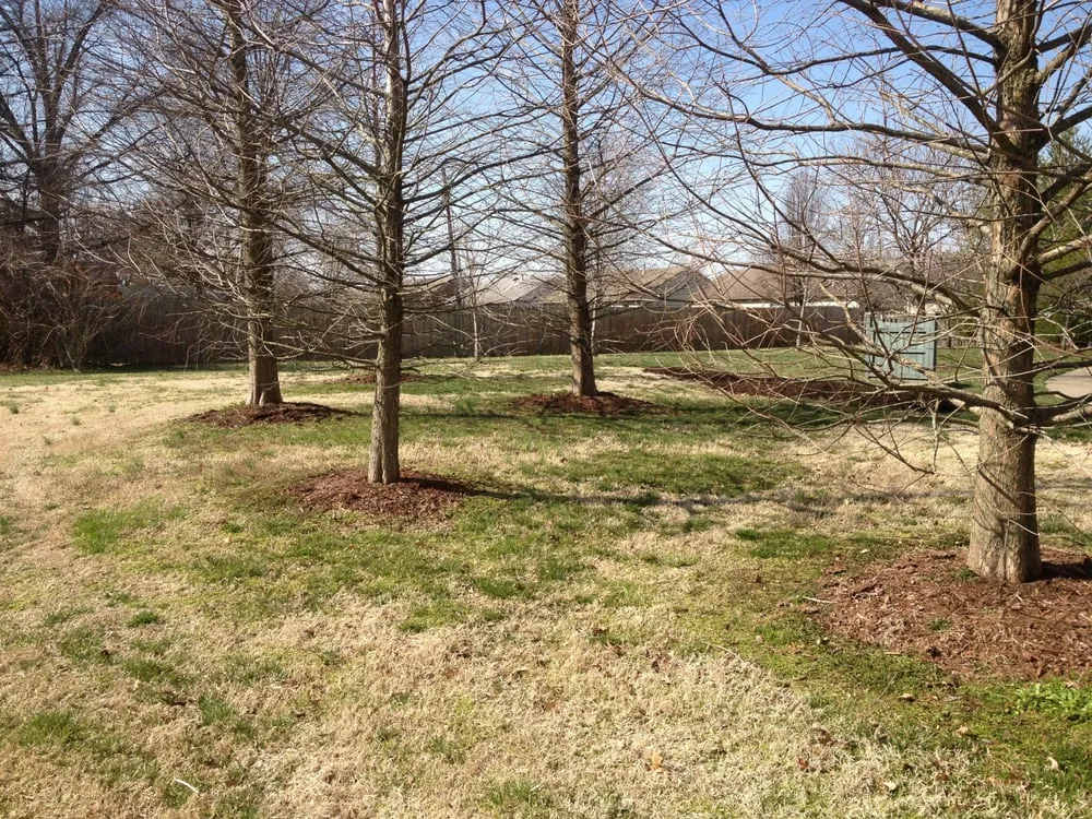 Expert lawn care service in Evansville, IN by Cut-Right Yard Service