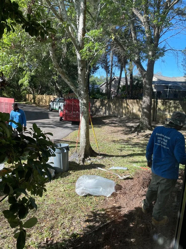 Top-rated residential landscaping in Pinellas Park, FL - Cut-Rite Landscaping