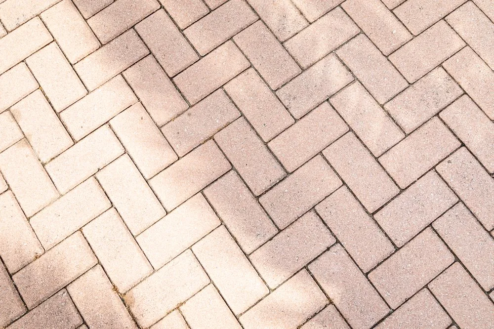 Custom garden landscaping for residential properties across Pinellas Park, FL - Cut-Rite Landscaping