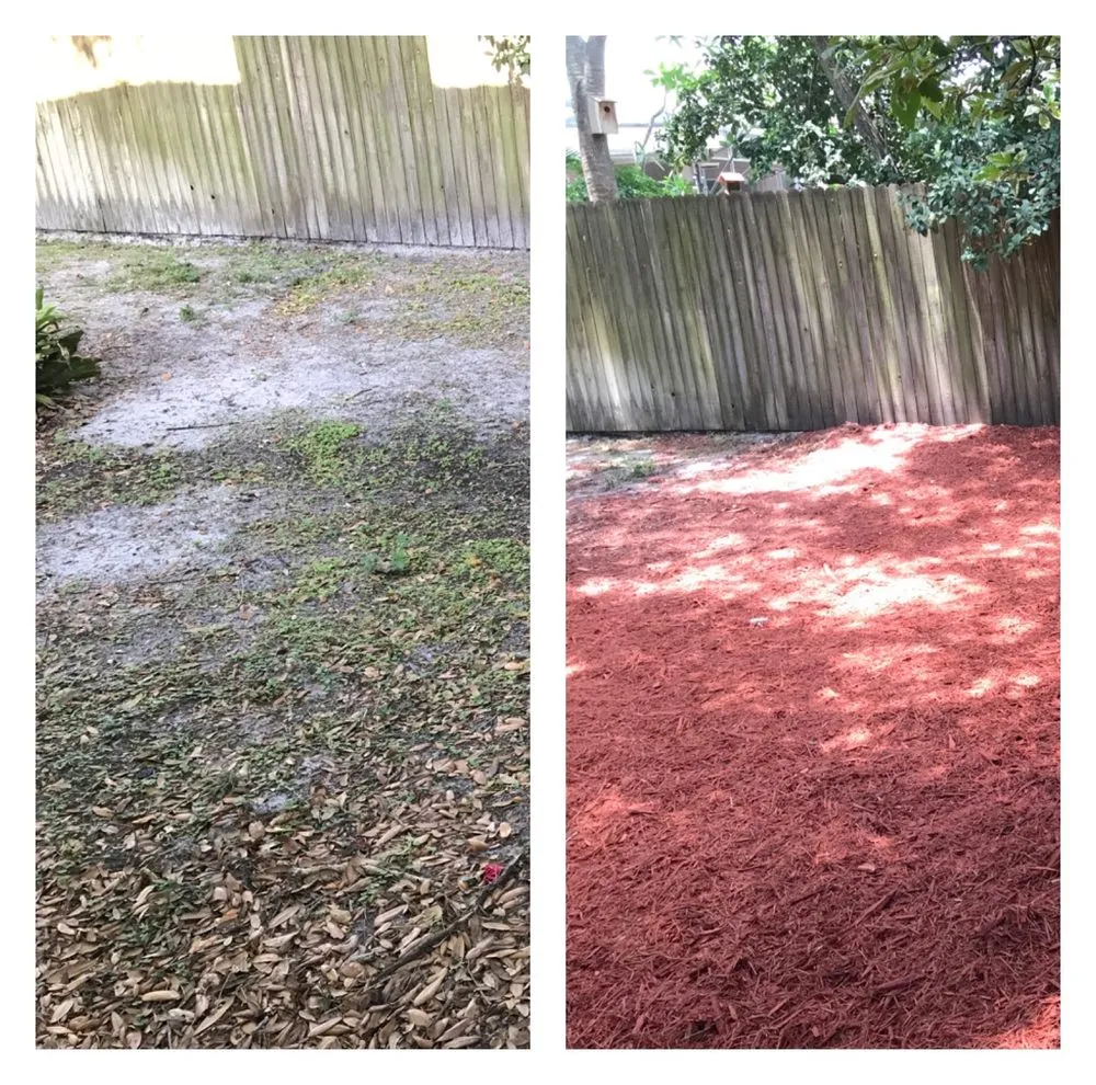 Affordable landscape design in Pinellas Park, FL - Cut-Rite Landscaping