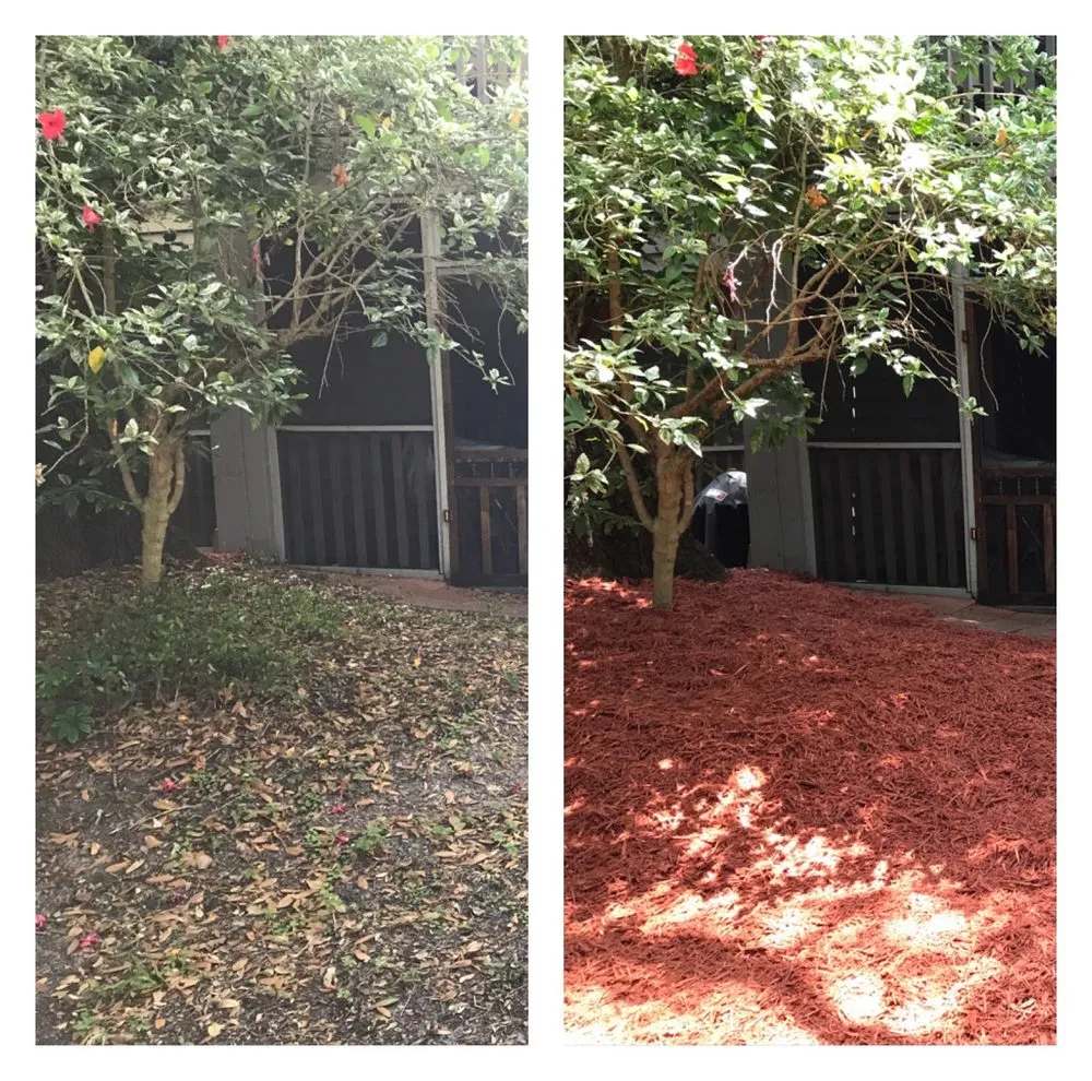 Custom lawn mowing service experts serving Pinellas Park, FL - Cut-Rite Landscaping