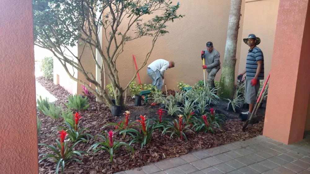 Local landscape installation in Pinellas Park, FL by Cut-Rite Landscaping