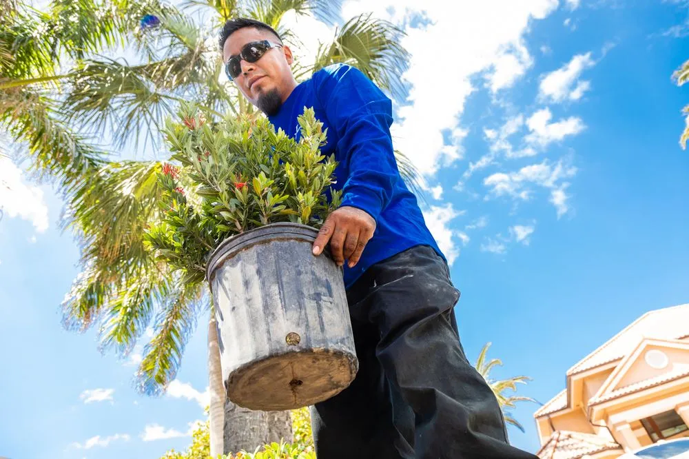 Trusted lawn care service experts serving Pinellas Park, FL - Cut-Rite Landscaping