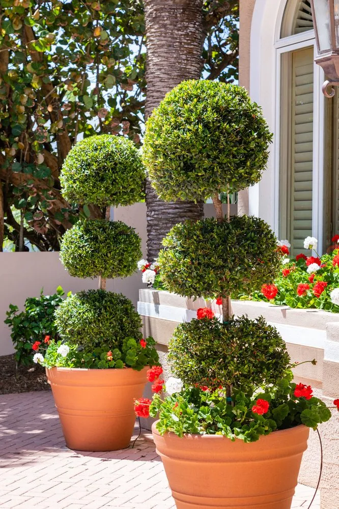 Reliable landscape design with custom design in Pinellas Park, FL by Cut-Rite Landscaping