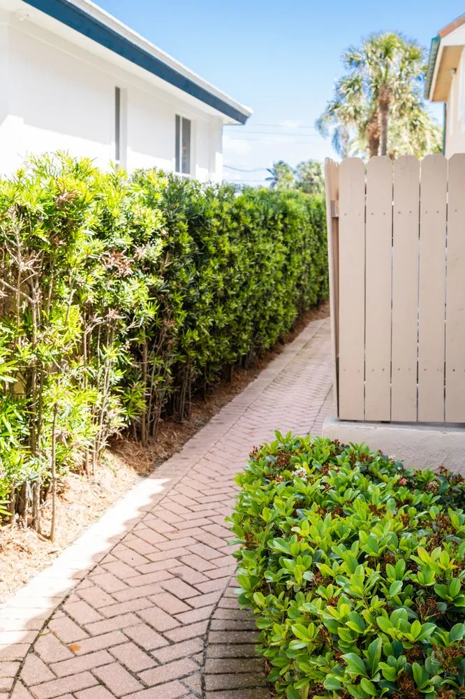 Professional yard cleanup service for beautiful yards in Pinellas Park, FL by Cut-Rite Landscaping