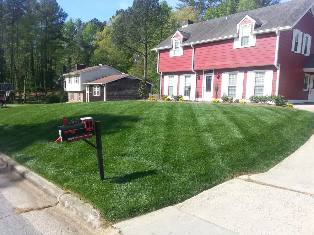 Custom yard maintenance for year-round maintenance in Chapel Hill, NC by Cut Rite Lawn & Landscape