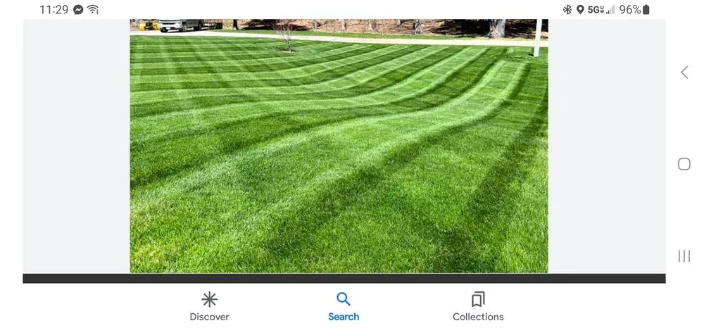 Expert yard maintenance in Wichita, KS - Cut rite lawn care